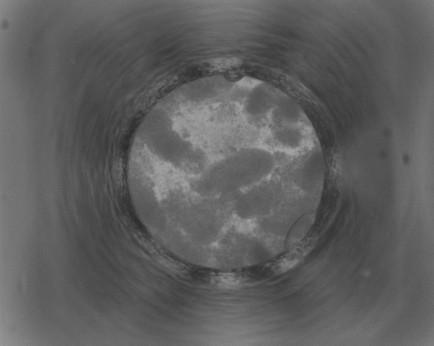 X0000078290565200612011812