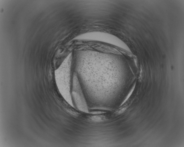 X0000078290566200612011812