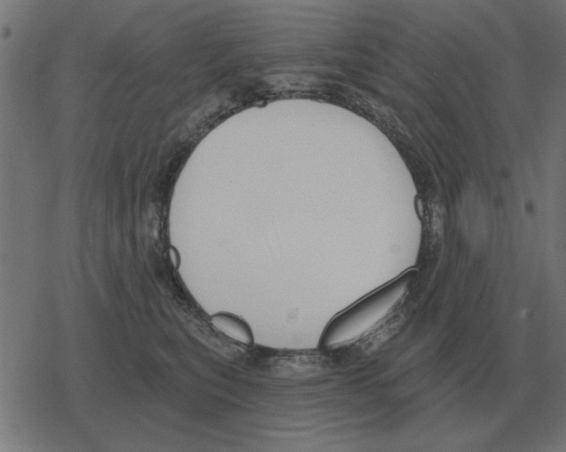 X0000078290567200612011812