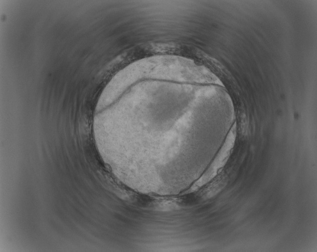 X0000078290569200612011812