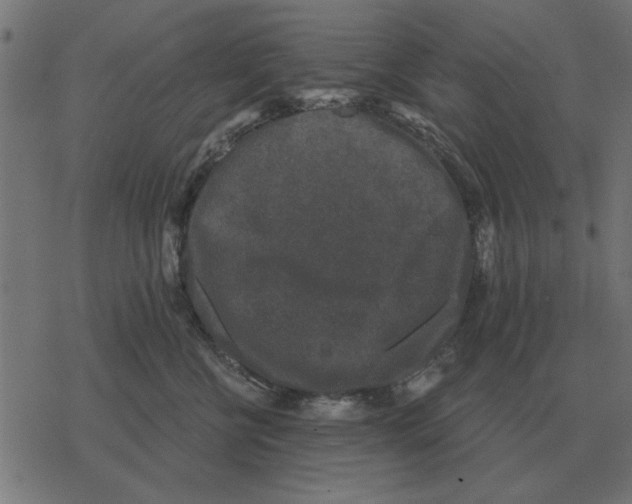 X0000078290570200612011812