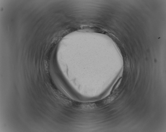 X0000078290571200612011812