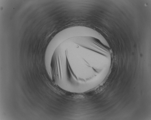 X0000078290572200612011812