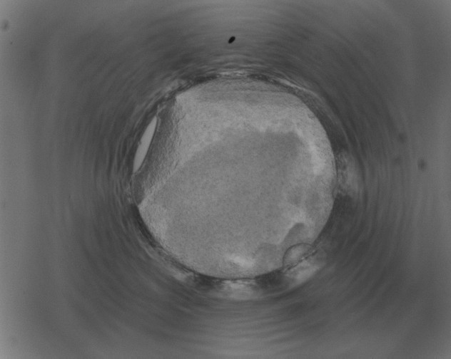 X0000078290573200612011812