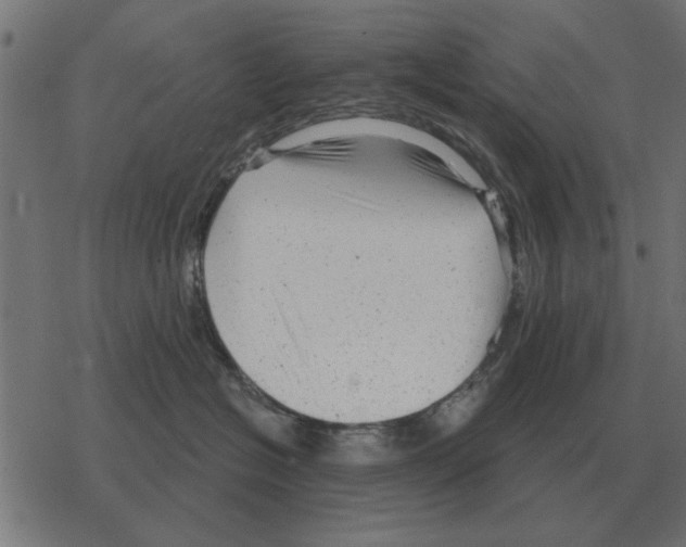 X0000078290574200612011812