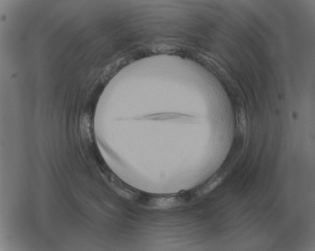 X0000078290575200612011812