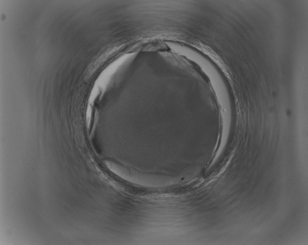 X0000078290577200612011811