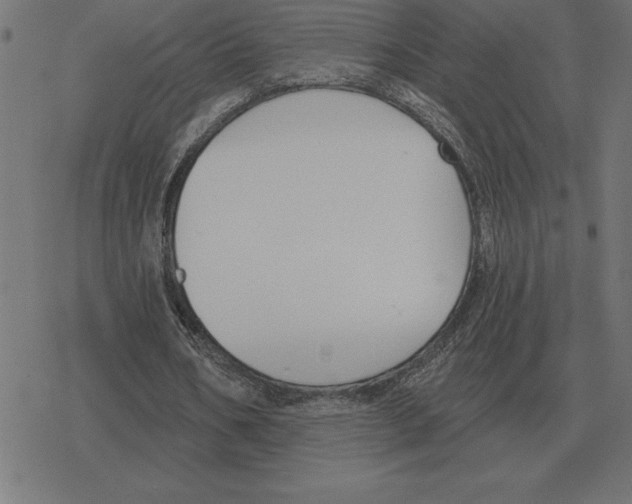 X0000078290578200612011811