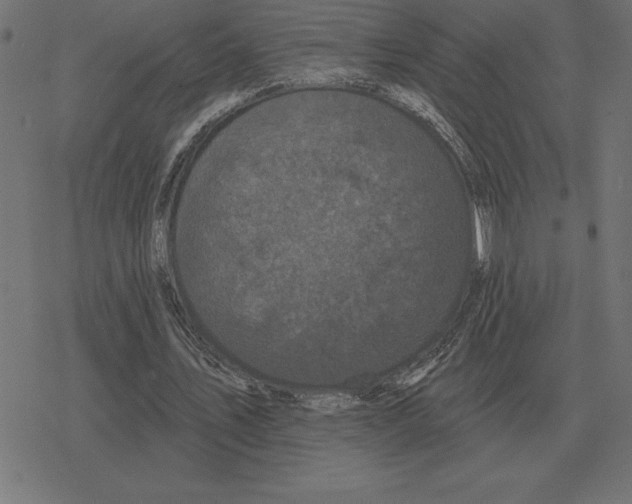 X0000078290579200612011811