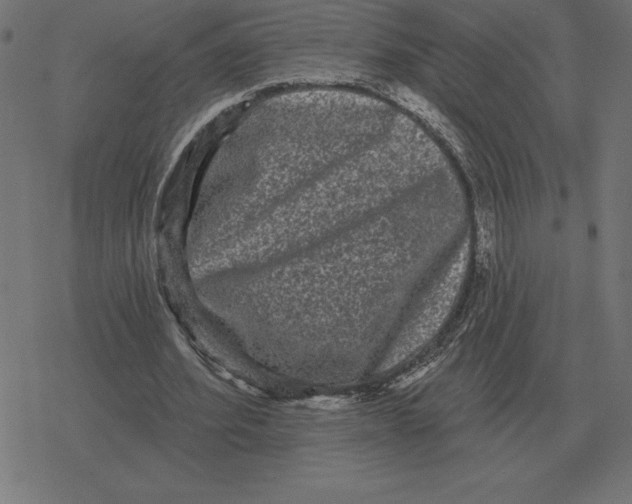 X0000078290580200612011811