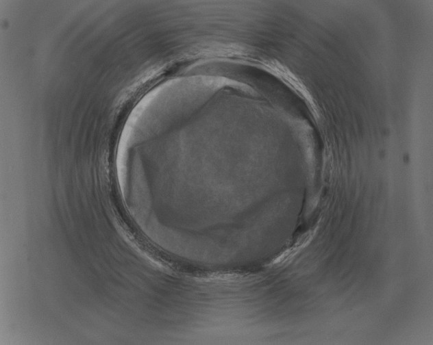 X0000078290581200612011811