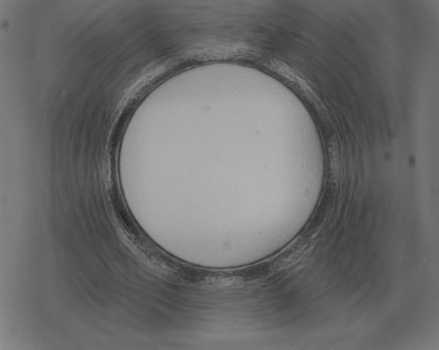 X0000078290582200612011811