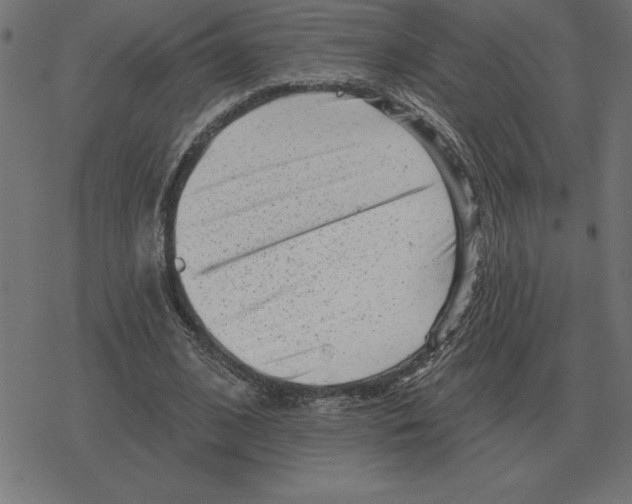 X0000078290584200612011811