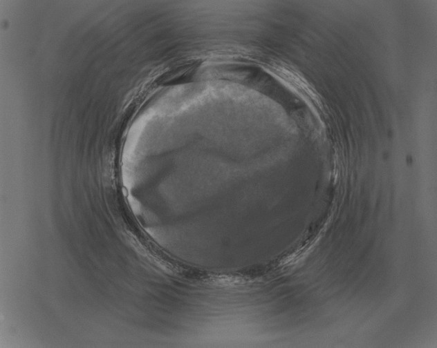 X0000078290585200612011811