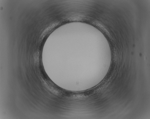 X0000078290586200612011811