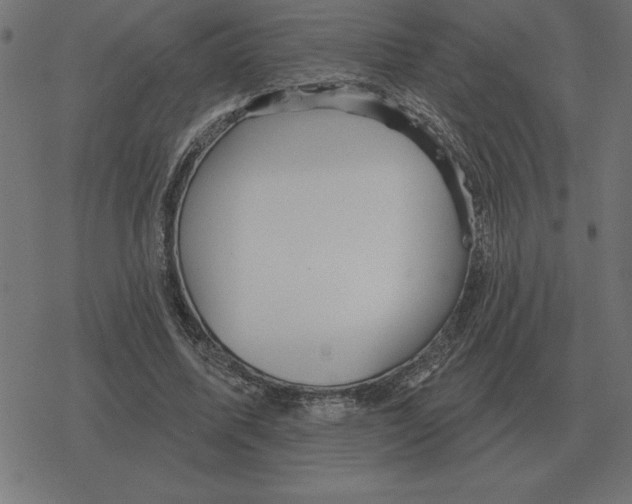 X0000078290587200612011811