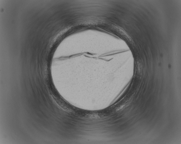 X0000078290588200612011811