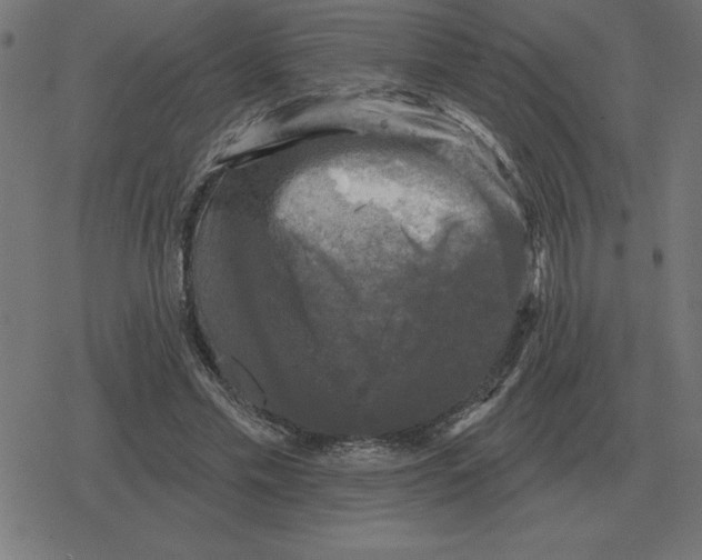 X0000078290589200612011811