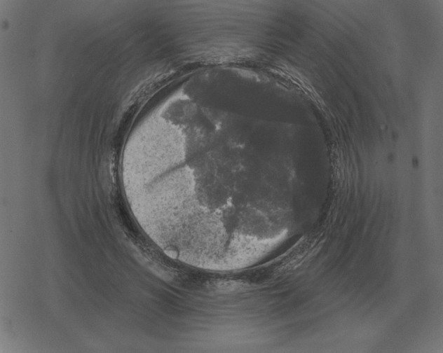 X0000078290590200612011811