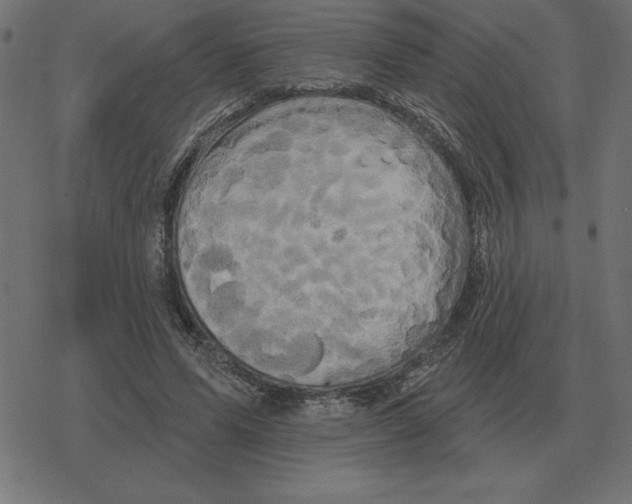 X0000078290591200612011811