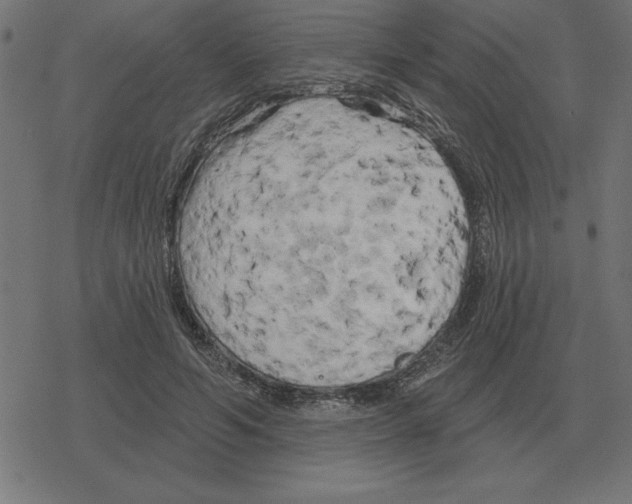 X0000078290594200612011811