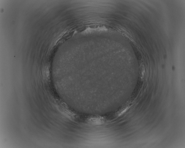 X0000078290595200612011811