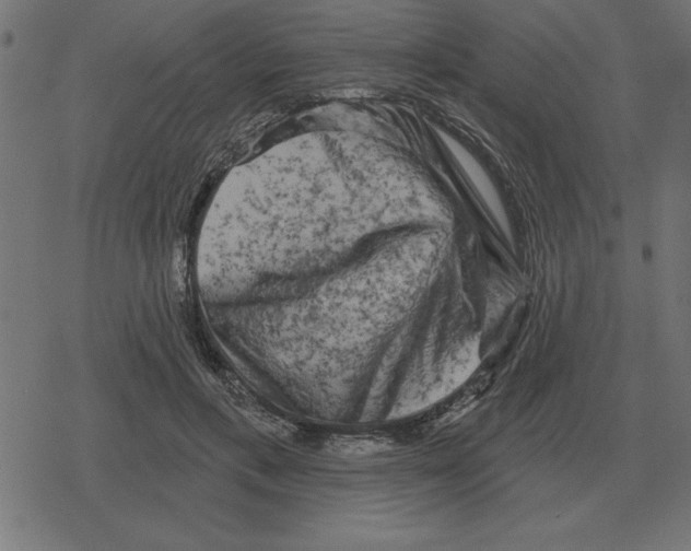 X0000078290597200612011811