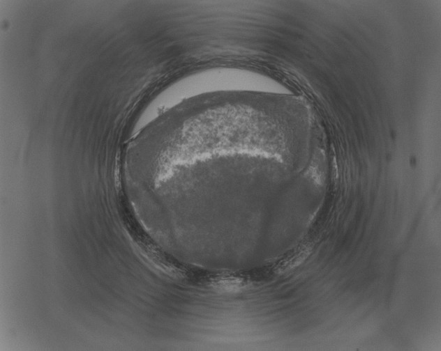 X0000078290598200612011811