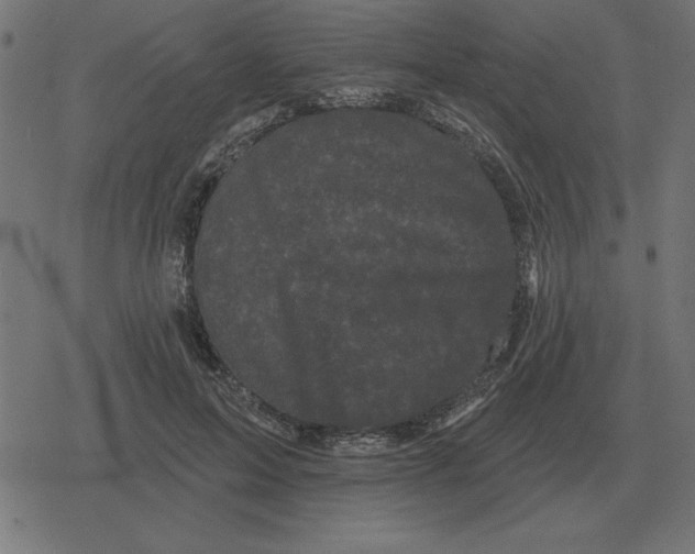 X0000078290599200612011811