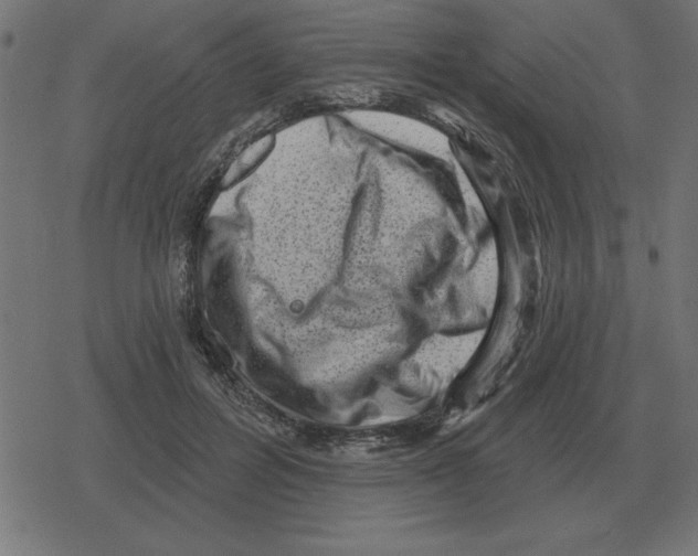 X0000078290600200612011811