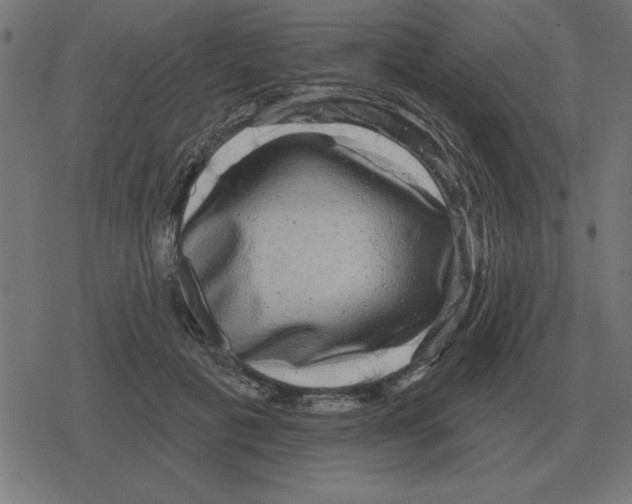 X0000078290601200612011811