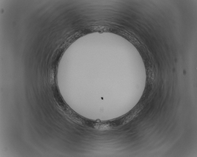 X0000078290602200612011811