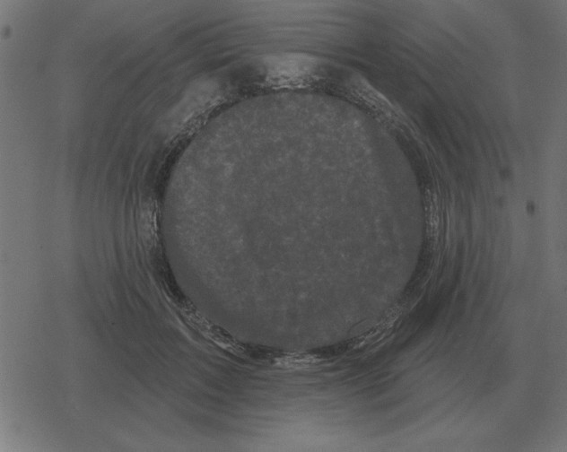 X0000078290603200612011811