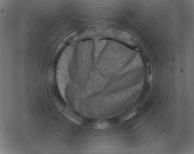 X0000078290604200612011811