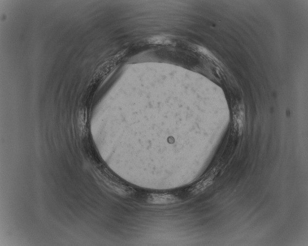 X0000078290605200612011811