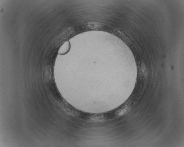 X0000078290606200612011811