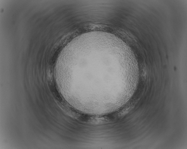 X0000078290607200612011811