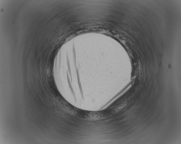 X0000078290608200612011811