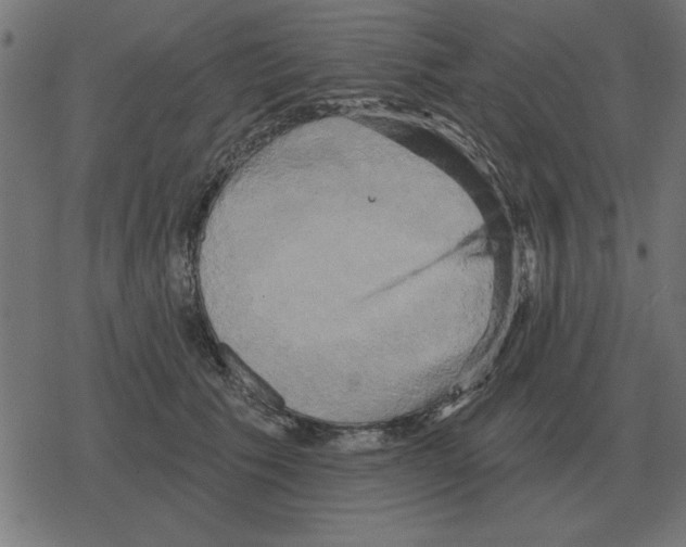 X0000078290609200612011811