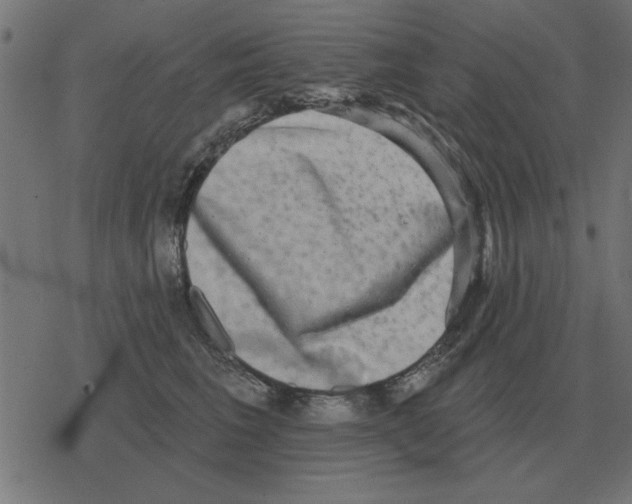 X0000078290613200612011811