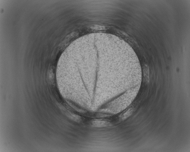 X0000078290614200612011811