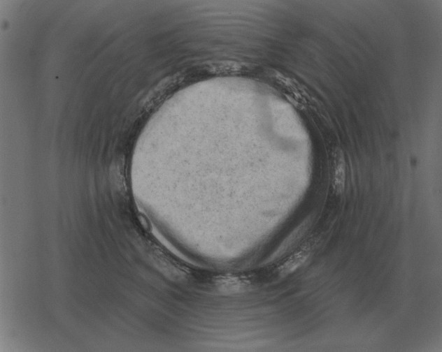 X0000078290616200612011811