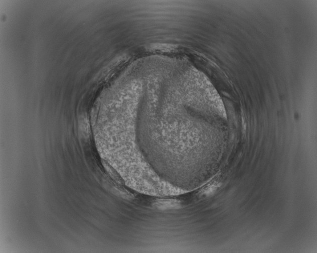 X0000078290617200612011811