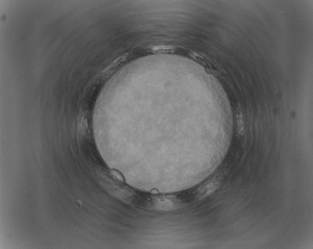 X0000078290618200612011811