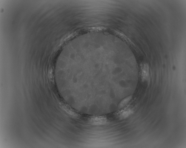 X0000078290619200612011810