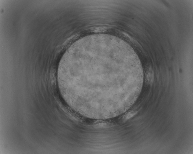 X0000078290620200612011810