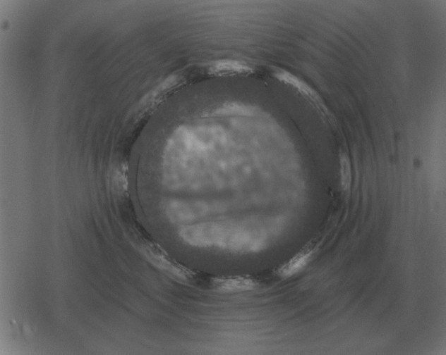 X0000078290621200612011810