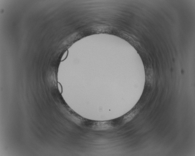 X0000078290622200612011810