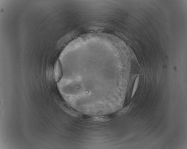 X0000078290623200612011810