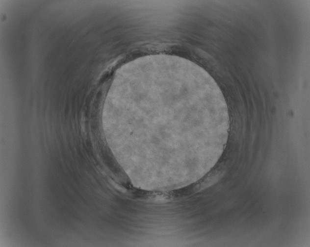 X0000078290624200612011810